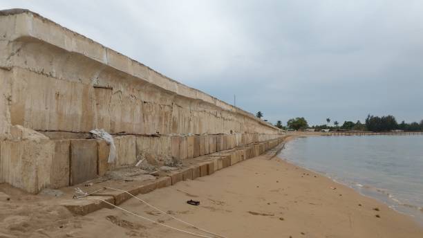 Concrete wall by the beach Concrete wall by the beach, to prevent abrasion seafowl stock pictures, royalty-free photos & images