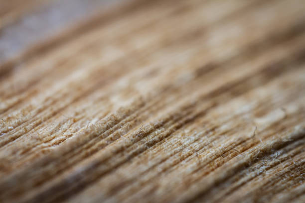 Extreme closeup of an old book from the side. Selective soft focus, shallow depth of field. Bibliophile, bookworm abstract background