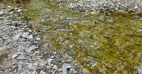 A rippling spring forest stream over rocks at Highbanks Metro Park.