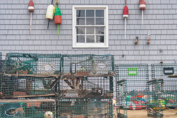 istock Boothbay Harbor lobster traps and buoys 1489767206