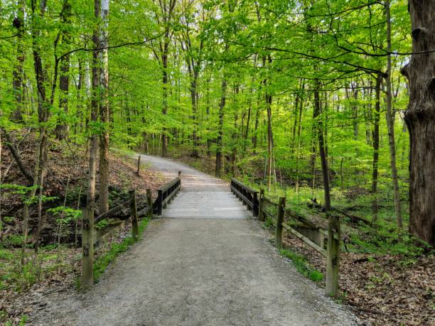 istock Highbanks Metro Park Wooden Bridge on Spring Forest Footpath 1489767706