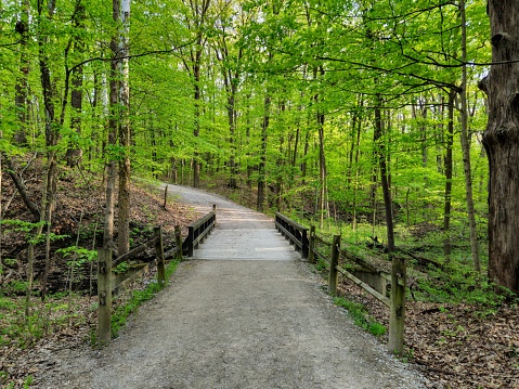 A serene, sunlit footpath with a wooden bridge in the spring woodland of Highbanks Metro Park.