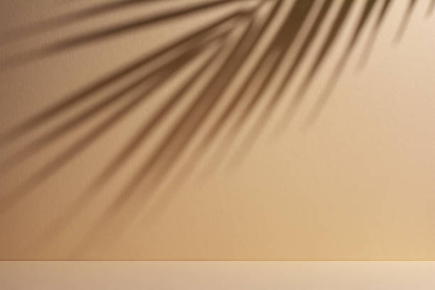 istock Abstract background of shadows palm leaves on a sand color wall 1489771531