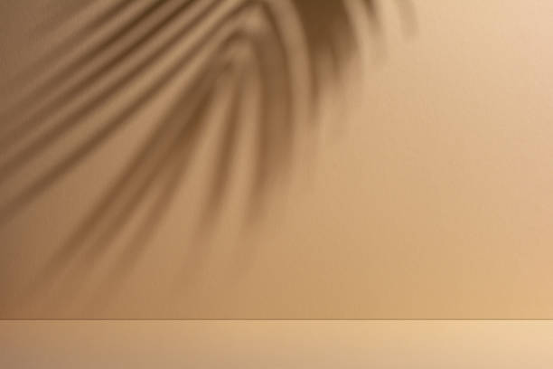 istock Abstract background of shadows palm leaves on a sand color wall 1489772466