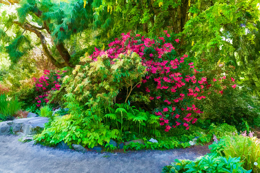 Illustration of flowers blooming at a garden in Seatac, Washington.