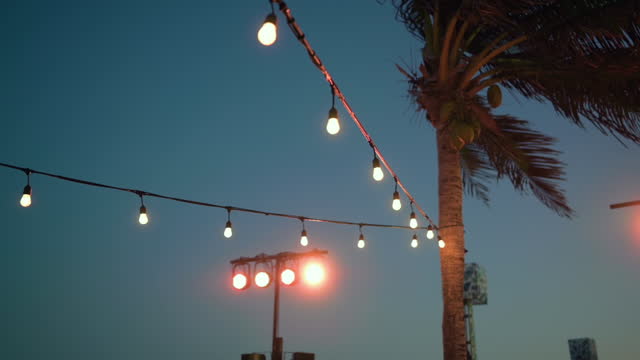 palm tree and lights at sunset