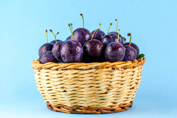 ripe blue plums in a crate