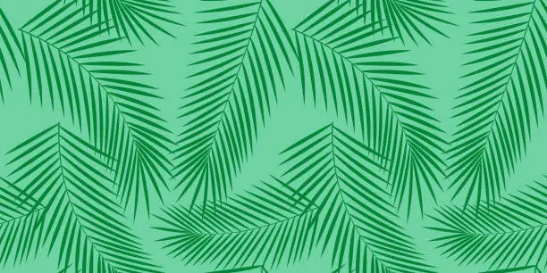 Vector illustration of Background, pattern seamless green vector - palm leaves and branches