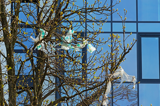 Garbage caught on tree branches near a modern building in the city, environmental pollution with polyethylene and plastic