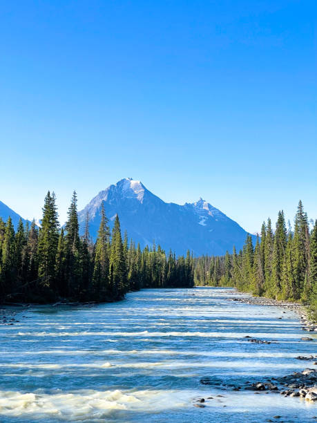 istock Jasper National Park in Alberta, Canada 1489780956