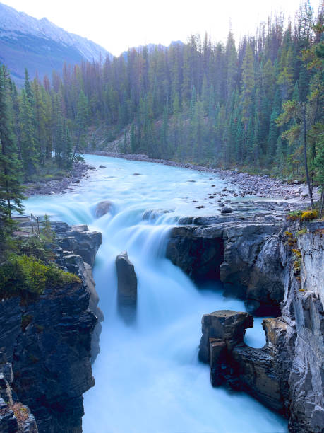 istock Jasper National Park in Alberta, Canada 1489780959