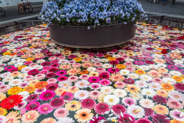 Water fountain with gerbera flowers, Old Town, Zurich, Switzerland