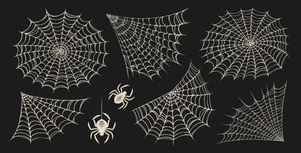 Vector illustration of Set of spider web for Halloween. Cobweb, frames and borders, scary elements for decoration. Vector illustration