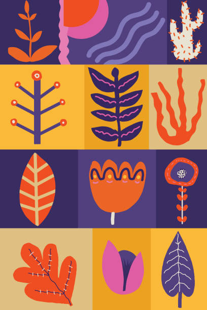 ilustraciones, imágenes clip art, dibujos animados e iconos de stock de colección de plantas art print - new life growth desert plant