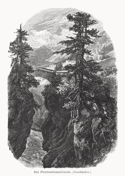illustrations, cliparts, dessins animés et icônes de vue historique de pontresina, grisons, suisse, gravure sur bois, publiée en 1877 - pontresina european alps valley ravine