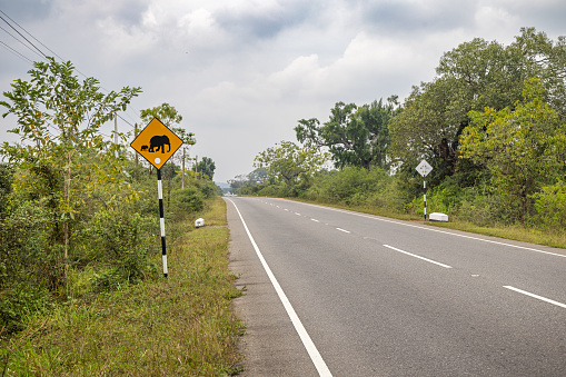 Road sign warning against wild elephants crossing the road in Pankulam in the Eastern Province in Sri Lanka