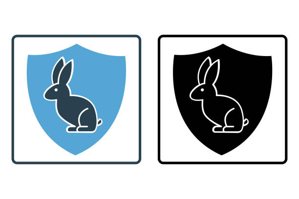 istock Animal health insurance icon. Solid icon style. Pet protection. rabbit icon illustration. Simple vector design editable 1489788498