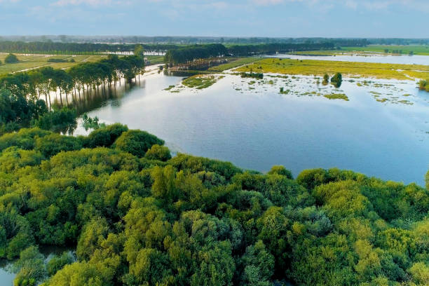 istock Netherlands, a famous tourist attraction 1489789250
