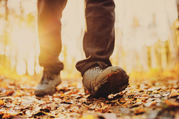 istock one men hiking in the forest 1489791112
