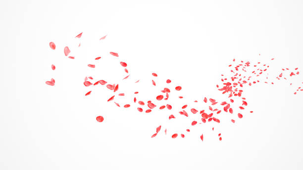 istock Red Roses Petals Flow in the wind Isolated on white background. 1489793147