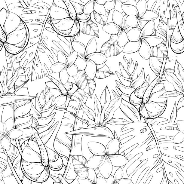 Tropical pattern with black and white flowers vector art illustration