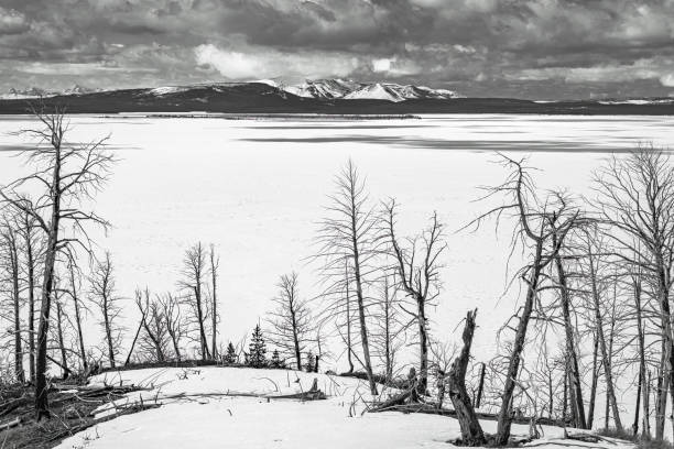 Classic black and white image of the snow-covered landscape of Yellowstone Lake, hills, bare trees and mountains in the background of Yellowstone National Park Wyoming in winter.
