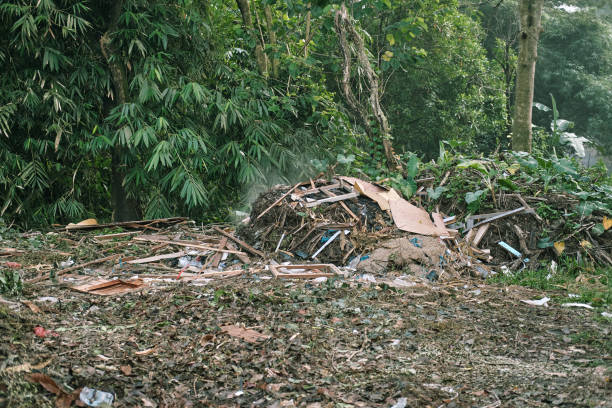 istock Picture of Waste 1489796454