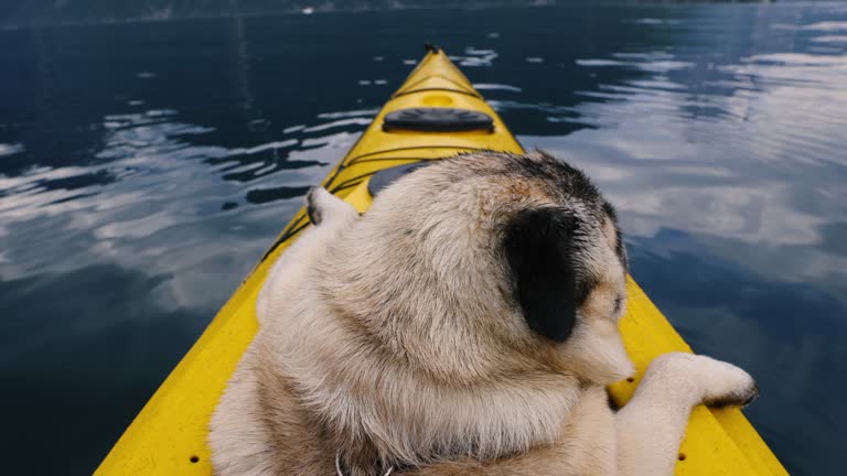 Little Tourist Kayaking at Scenic Fjord in Norway