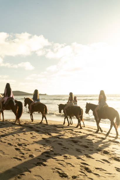 istock Female friends during horseback riding on the beach 1489803855