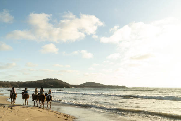 istock Female friends during horseback riding on the beach 1489803861