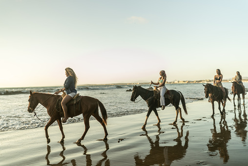 Horses at gallop on the beach at sunset. Three persons with horses at seaside, side view with beautiful backlight. Sport, leisure and travel concepts