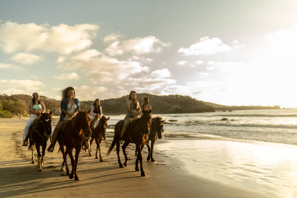 istock Female friends during horseback riding on the beach 1489804577