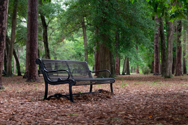 istock Empty bench in a park after rain surrounded by fallen leaves 1489805648