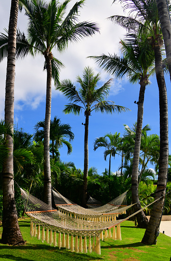 Obyan, Saipan, Northern Mariana Islands: garden with string hammocks with fringe tassels, hanging from coconut palm trees.