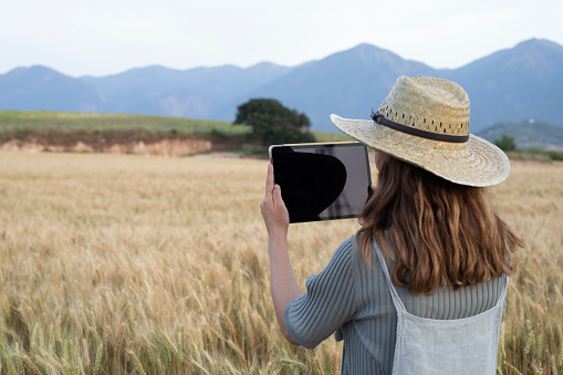 digital farming