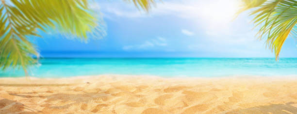 istock Large-format blank for creative work, design on the theme of summer holidays. 1489808954