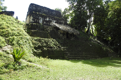 Tikal Archaeological Site, Pre-Columbian Maya Civilization, Peten - Guatemala