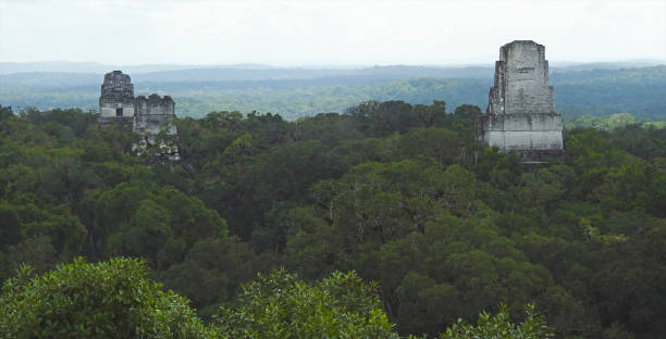 istock Tikal Archaeological Site, Pre-Columbian Maya Civilization, Peten, Guatemala 1489811012