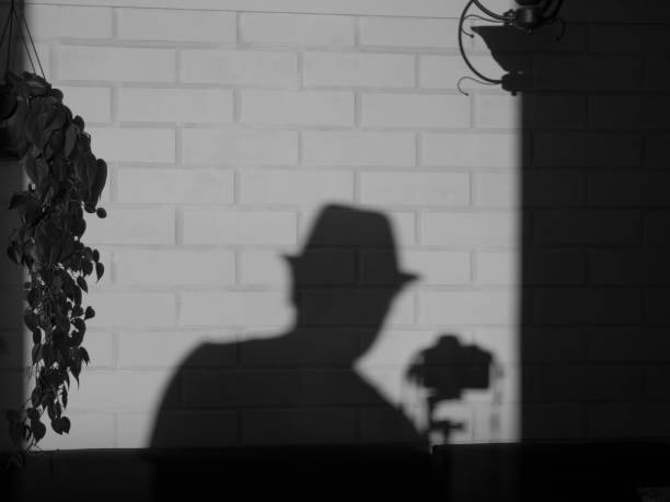 istock shadow of a photographer reflected on a brick wall 1489813696