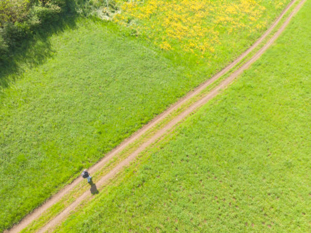 istock Springtime hiking in clean green environment 1489815072