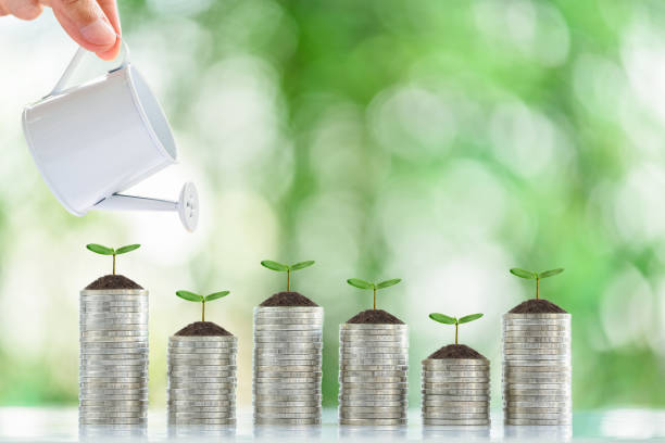 Long-term financial goal setting for most people, financial concept : Hand pours water from a watering can onto a young sprout or a small tree on coin stack, depicting investment increase through time establecimiento de metas financieras a largo plazo para la mayoría de las personas, concepto financiero: a mano vierte agua de una regadera sobre un brote joven o un pequeño árbol en la pila de monedas, lo que representa el aumento de la inversión a tr