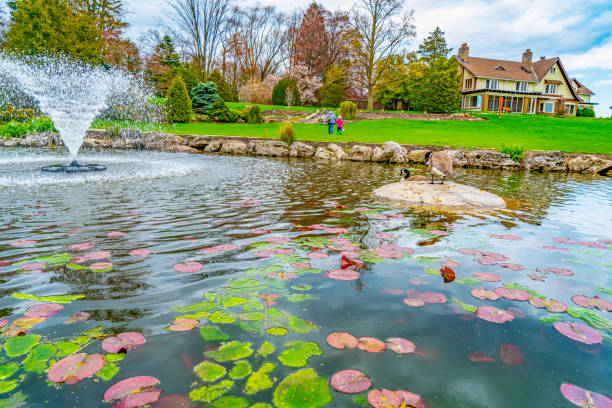 gairloch gardens e lago ontario, oakville, canada - landscaped spring canada footpath foto e immagini stock