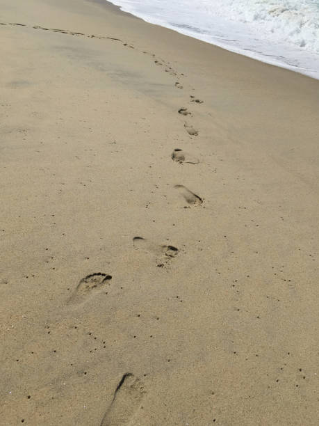 istock Footprints in the sand at Carlsbad State Beach 1489821166