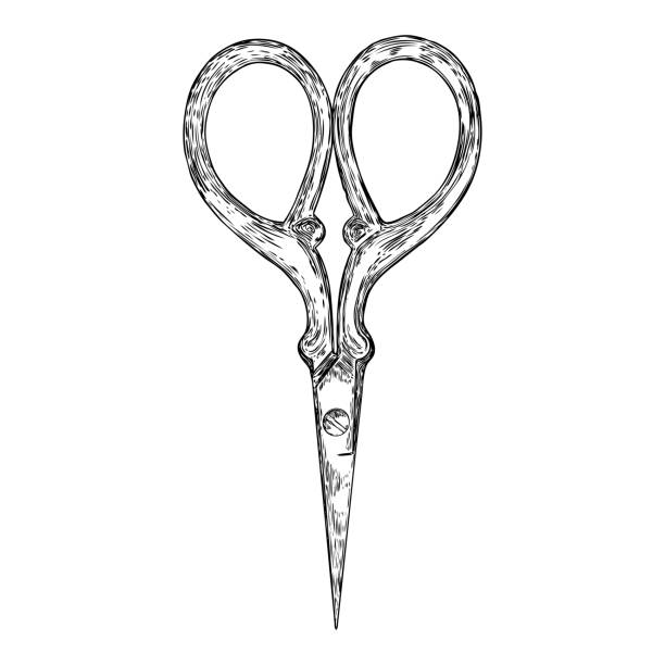 Scissors Drawing Detailed 570+ Antique Scissors Drawing Stock Photos, Pictures & Royalty-Free ...