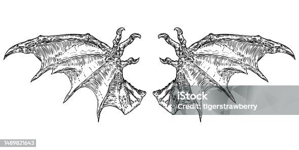 istock Hand drawn vintage etched woodcut fallen angel or vampire detailed wings. Dragon or gargoyle wings. Heraldic wings for tattoo and mascot design. Isolated sketch collection. Vector. 1489821643