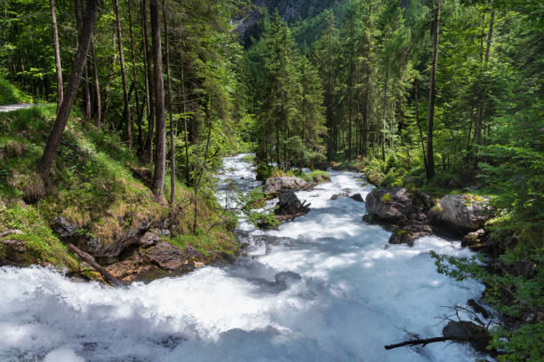 istock River near Hallstatt in summer, Austria 1489823096