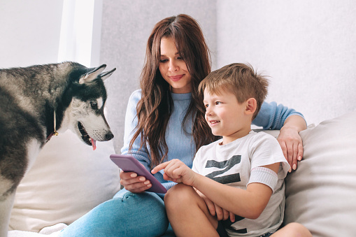 Mother and cute little resting with husky dog use phone at home