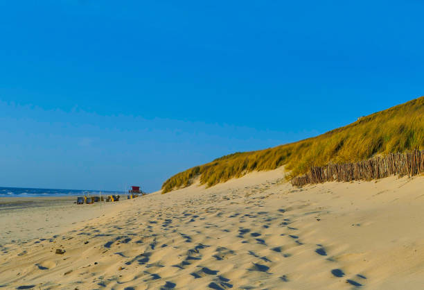 istock Beach and Dunes of Sylt Germany 1489825362