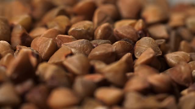 extreme macro video of dry fresh roasted buckwheat.