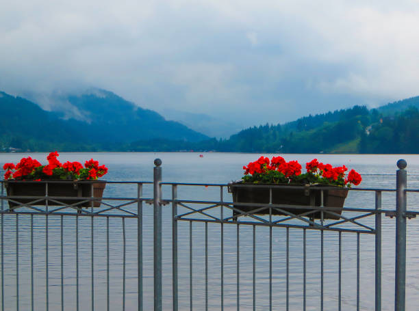 Black Forest Lakes